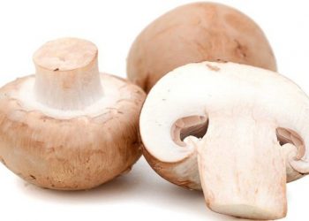 Nấm mỡ kho mirin (chay)